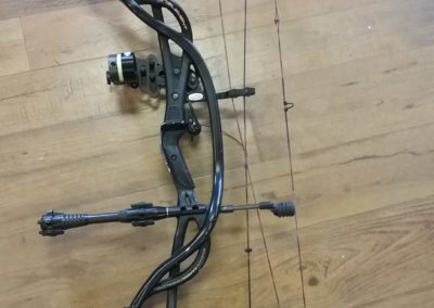 Leaves & Limbs - Used Hoyt Carbon Bow